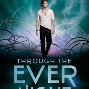 Through the Ever Night (Under the Never Sky #2) by Veronica Rossi